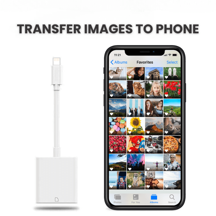 iPhone SD Card Reader | Transfer Photos from Camera to Phone